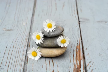 Tuinposter Zen stenen  met bloemen op oud hout. © trinetuzun