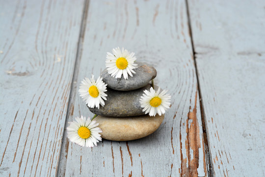Zen stenen  met bloemen op oud hout.