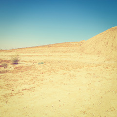 Negev Desert