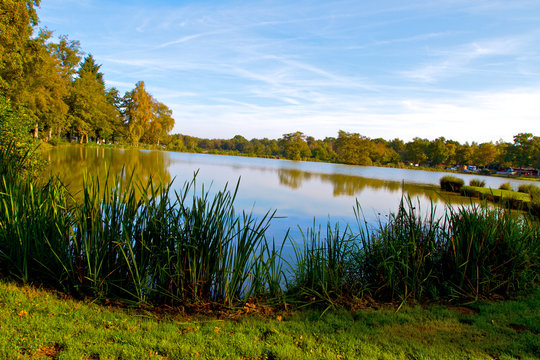 ETANG EN BRESSE