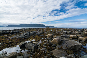 Rocks and seaweed in the province of Newfoundland and Labrador