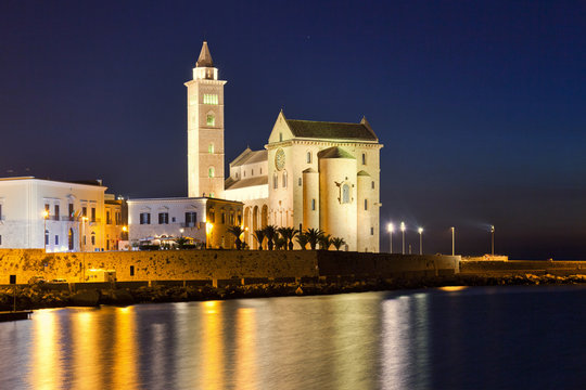 NIght view of the romanesque cathedral of Trani. Alia, Italy.