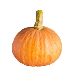 Fresh orange pumpkin on isolated white with clipping path.