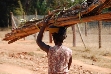 An African woman while carrying a load of wood - Tanzania