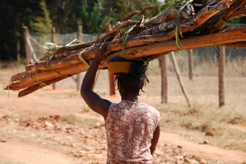 Fototapeten An African woman while carrying a load of wood - Tanzania © francovolpato