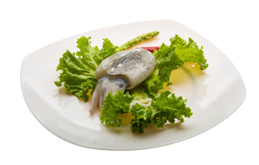 Raw cuttlefish