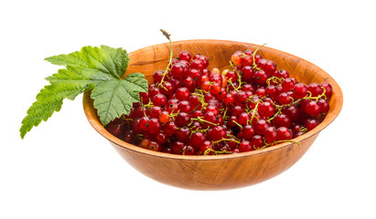 Red currant