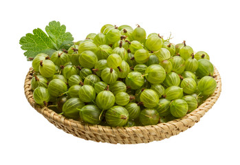 Gooseberry
