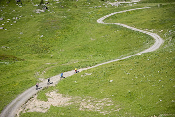 Mountainbikers riding on a path