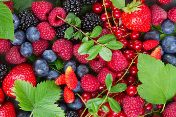 ripe of  fresh berries