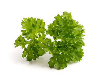 Frische Petersilie