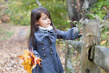 Little pretty girl with autumn leaves in an autumn park