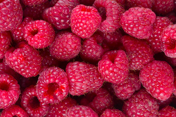 raspberry background