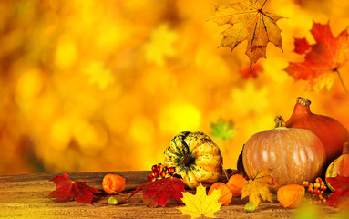 Plakat Beautiful autumn background