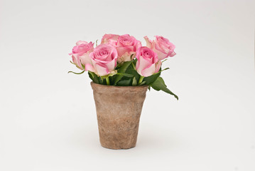 Vaso con le rose