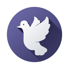 bird design