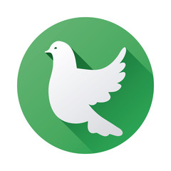 bird design