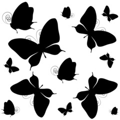 Fototapeta premium butterflies design