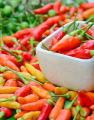 colorful fresh  peppers in white bowl