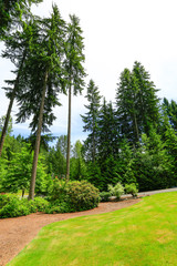 Fototapeta na wymiar Beautiful landscape design. Washington state