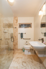 Bathroon in Contemporary Home