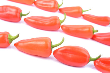 red paprika pepper isolated