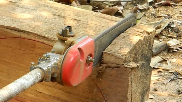 The chainsaw blade cutting wood.