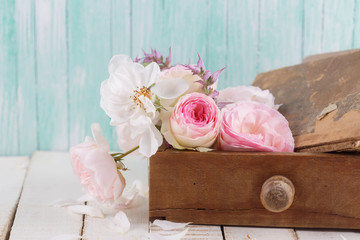 Fresh roses