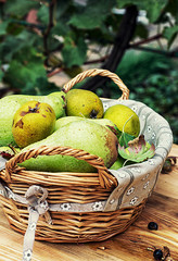 autumn ripe pears on the table