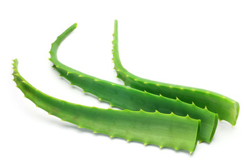 aloe