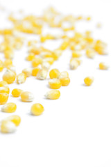 Corn kernels