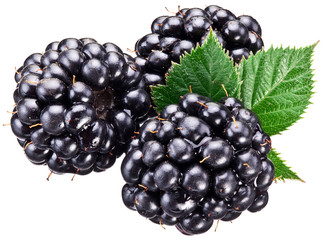 Dewberries with leaf isolated over white.