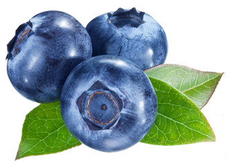 Blueberries with leaves on a white background.