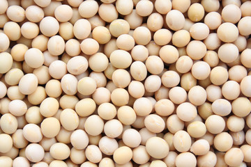 soybeans background