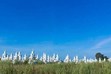 raw of white buddha status on blue sky background