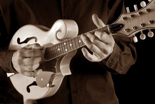 mandolin player,sepia image