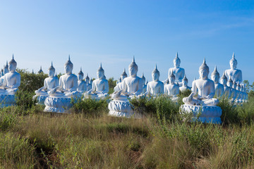 raw of white buddha status on blue sky background