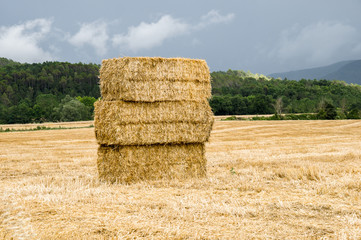 Straw bales