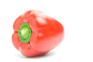 Bell pepper