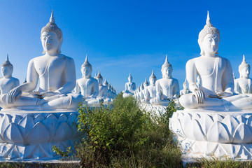 raw of white buddha status on blue sky background