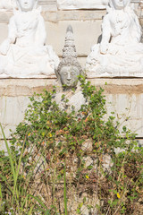 raw of white buddha status on the wall