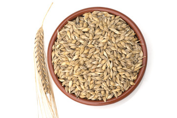 Gerstenaehren; Gerstenkoerner; Gerste;