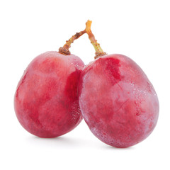 Red grape