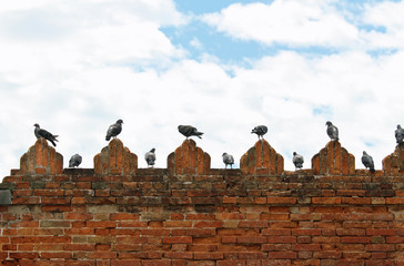 pigeons and doves on spires of castle wall
