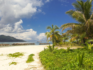 seychelles