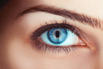 Close up photo of woman's blue eye