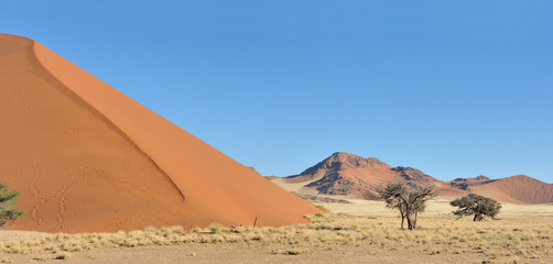 Fototapeta na wymiar Grass, dune and mountain panorama near Sossusvlei,