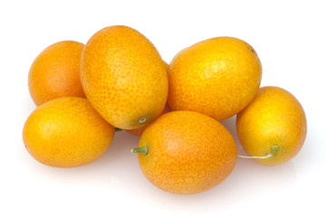 Kumquats; Fortunella; Citrus;