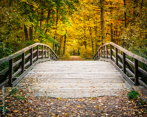 мост перила листья осень загрузить