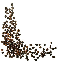 Kaffeebohnen